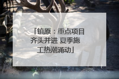 镇原：重点项目齐头并进 夏季施工热潮涌动