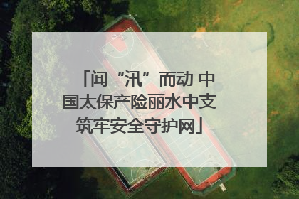 闻“汛”而动 中国太保产险丽水中支筑牢安全守护网