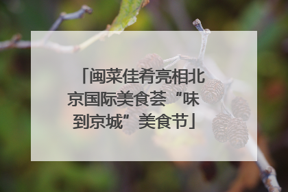 闽菜佳肴亮相北京国际美食荟“味到京城”美食节