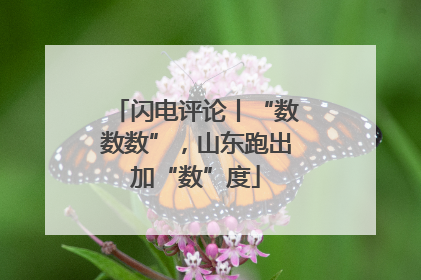 闪电评论丨“数数数”，山东跑出加“数”度