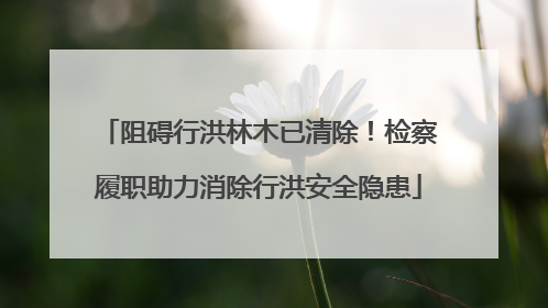 阻碍行洪林木已清除！检察履职助力消除行洪安全隐患