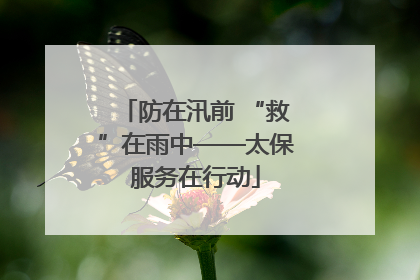 防在汛前 “救”在雨中——太保服务在行动