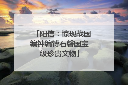阳信：惊现战国编钟编镈石磬国宝级珍贵文物