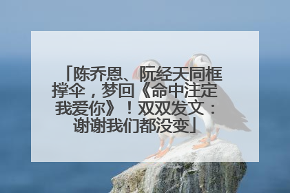 陈乔恩、阮经天同框撑伞，梦回《命中注定我爱你》！双双发文：谢谢我们都没变