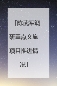 陈武军调研重点文旅项目推进情况