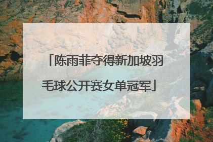 陈雨菲夺得新加坡羽毛球公开赛女单冠军
