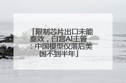 限制芯片出口未能奏效，白宫AI主管：中国模型仅落后美国不到半年