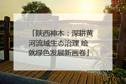 陕西神木：深耕黄河流域生态治理 绘就绿色发展新画卷