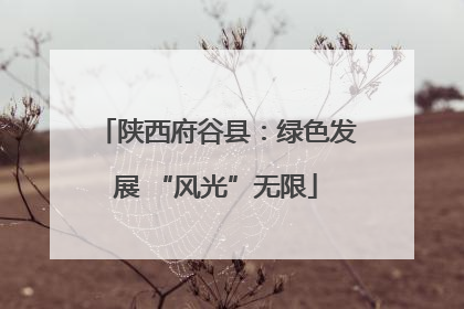陕西府谷县：绿色发展 “风光”无限