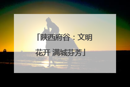 陕西府谷：文明花开 满城芬芳