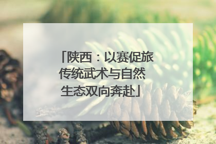 陕西：以赛促旅 传统武术与自然生态双向奔赴