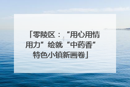 零陵区：“用心用情用力”绘就“中药香”特色小镇新画卷
