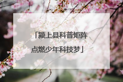 颍上县科普矩阵点燃少年科技梦