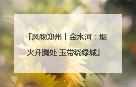 风物郑州丨金水河：烟火升腾处 玉带绕绿城