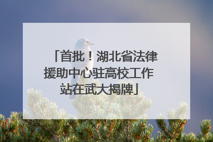 首批！湖北省法律援助中心驻高校工作站在武大揭牌