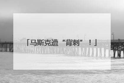 马斯克遭“背刺”！