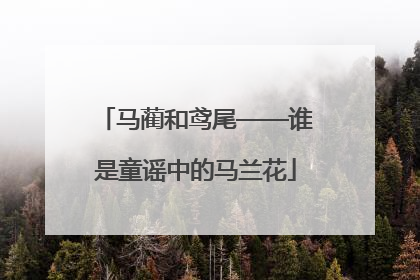 马蔺和鸢尾——谁是童谣中的马兰花