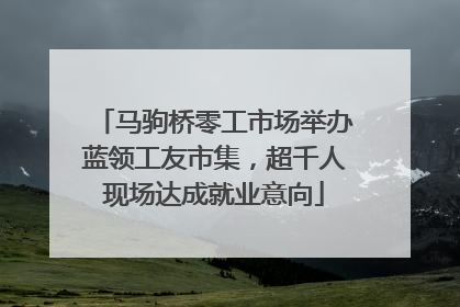 马驹桥零工市场举办蓝领工友市集，超千人现场达成就业意向