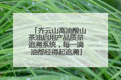 齐云山高油酸山茶油启用产品质量追溯系统，每一滴油都经得起追溯