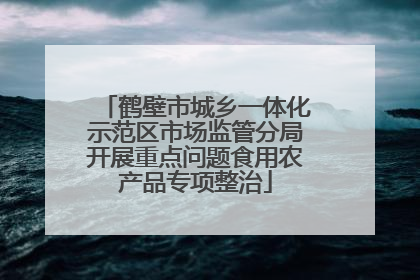 鹤壁市城乡一体化示范区市场监管分局开展重点问题食用农产品专项整治
