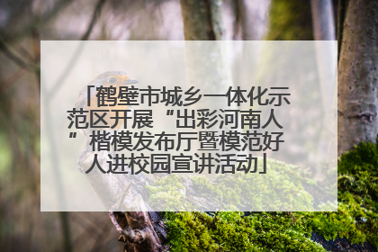鹤壁市城乡一体化示范区开展“出彩河南人”楷模发布厅暨模范好人进校园宣讲活动