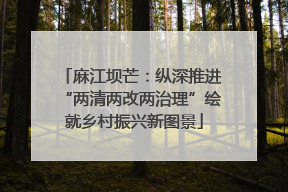 麻江坝芒：纵深推进“两清两改两治理”绘就乡村振兴新图景