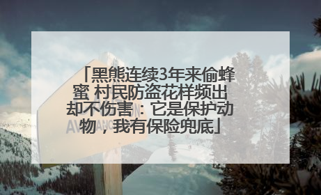 黑熊连续3年来偷蜂蜜 村民防盗花样频出却不伤害：它是保护动物，我有保险兜底