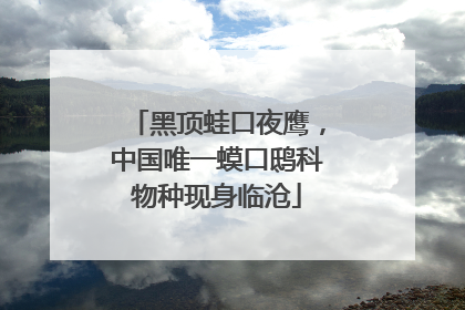 黑顶蛙口夜鹰，中国唯一蟆口鸱科物种现身临沧
