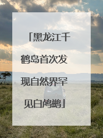 黑龙江千鹤岛首次发现自然界罕见白鸬鹚