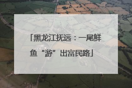 黑龙江抚远：一尾鲜鱼“游”出富民路