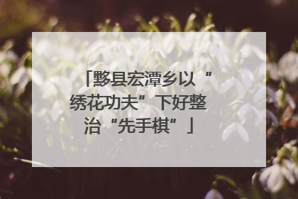 黟县宏潭乡以“绣花功夫”下好整治“先手棋”