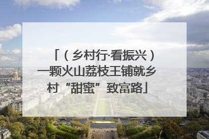 （乡村行·看振兴）一颗火山荔枝王铺就乡村“甜蜜”致富路