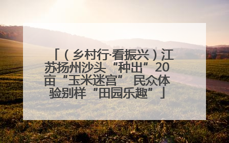 （乡村行·看振兴）江苏扬州沙头“种出”20亩“玉米迷宫” 民众体验别样“田园乐趣”