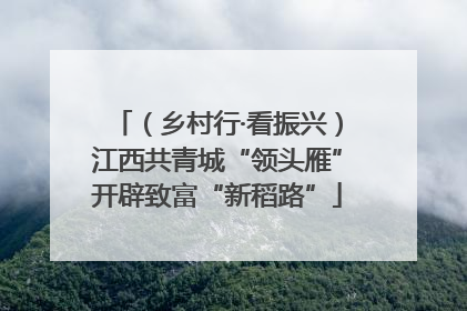 （乡村行·看振兴）江西共青城“领头雁”开辟致富“新稻路”