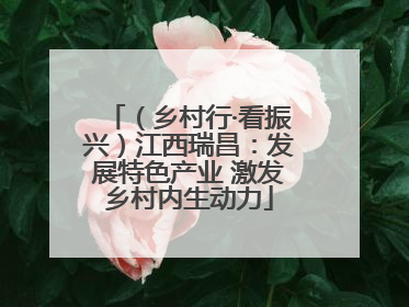 （乡村行·看振兴）江西瑞昌：发展特色产业 激发乡村内生动力