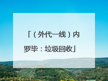 （外代一线）内罗毕：垃圾回收