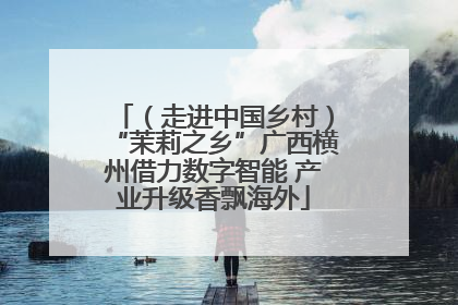 （走进中国乡村）“茉莉之乡”广西横州借力数字智能 产业升级香飘海外