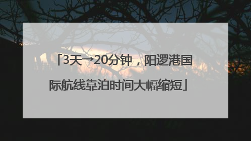 3天→20分钟，阳逻港国际航线靠泊时间大幅缩短