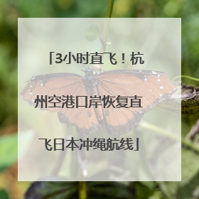 3小时直飞！杭州空港口岸恢复直飞日本冲绳航线