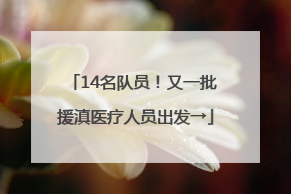 14名队员！又一批援滇医疗人员出发→