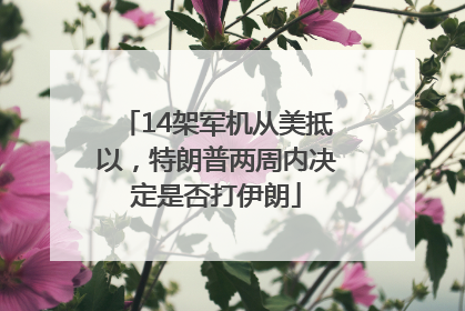 14架军机从美抵以，特朗普两周内决定是否打伊朗