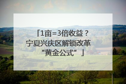 1亩=3倍收益？宁夏兴庆区解锁改革“黄金公式”
