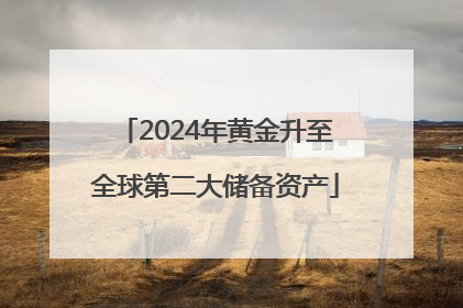 2024年黄金升至全球第二大储备资产