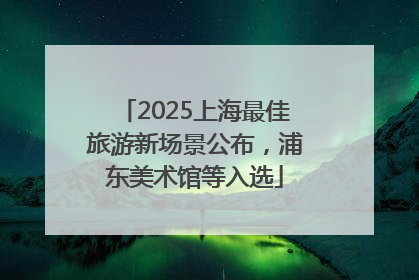 2025上海最佳旅游新场景公布，浦东美术馆等入选
