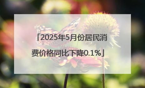 2025年5月份居民消费价格同比下降0.1%