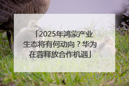2025年鸿蒙产业生态将有何动向？华为在蓉释放合作机遇