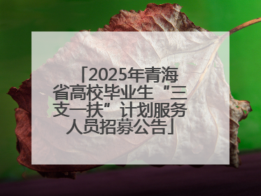 2025年青海省高校毕业生“三支一扶”计划服务人员招募公告