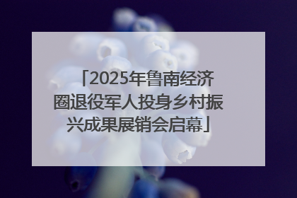 2025年鲁南经济圈退役军人投身乡村振兴成果展销会启幕