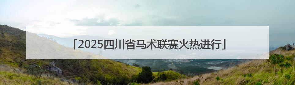 2025四川省马术联赛火热进行