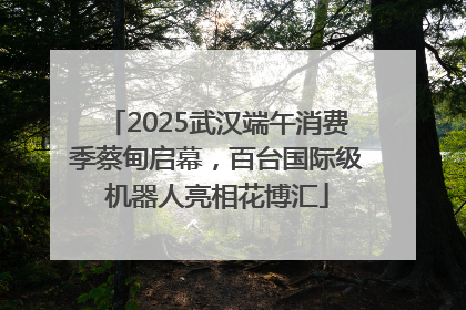 2025武汉端午消费季蔡甸启幕，百台国际级机器人亮相花博汇
